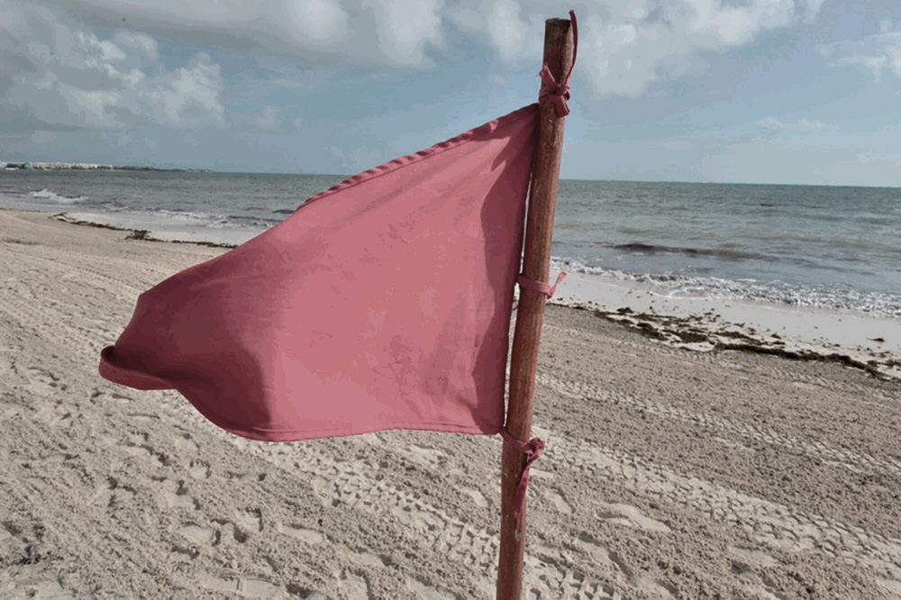 5 More Red Flags when Evaluating a Cyber Risk Quantification Provider